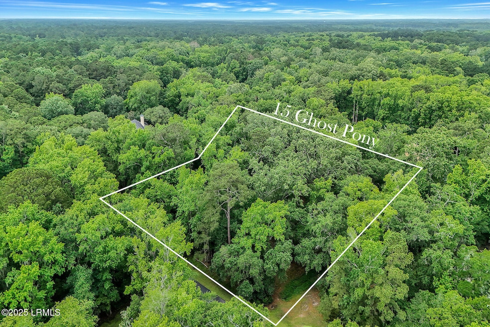 15 Ghost Pony Rd, Bluffton, SC 29910 - photo 1