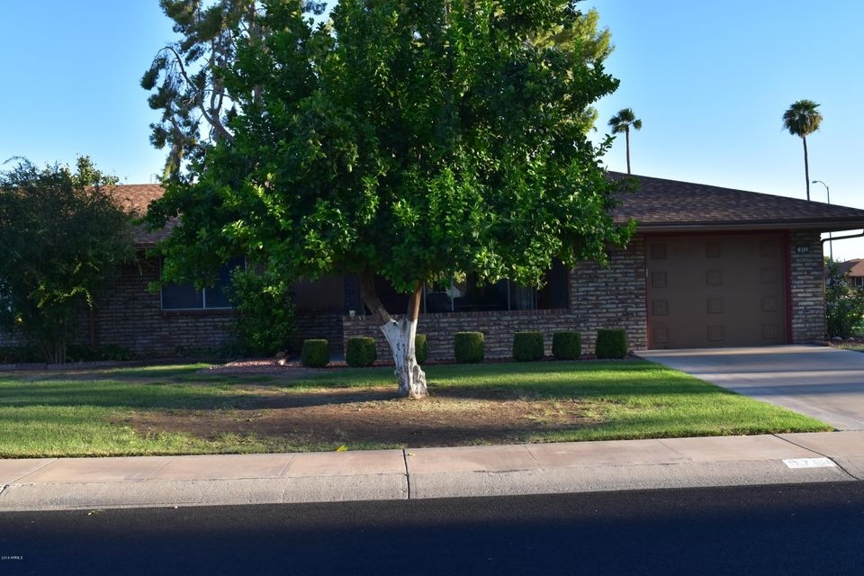 Lemon Tree in Front Yard!