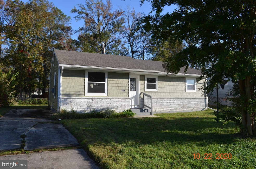 529 Kadlubeck Way, Little Egg Harbor Township, NJ 08087 - photo 1