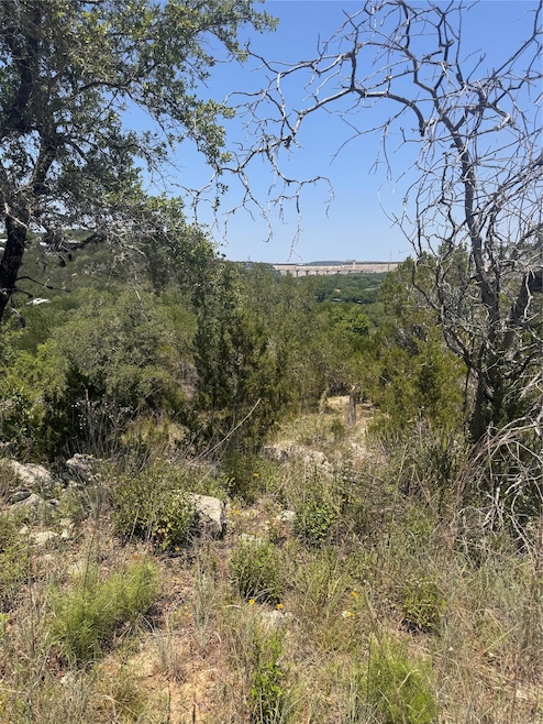 View of undeveloped land