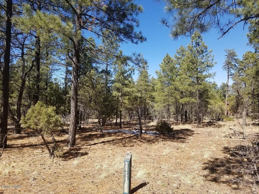 1301 S Jimson Loop