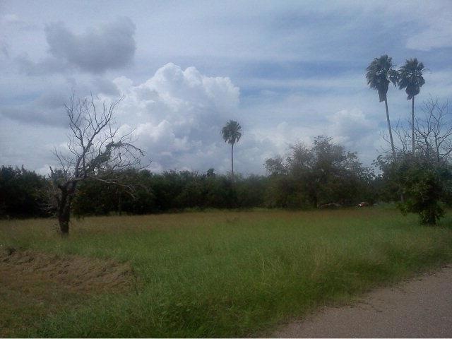 5606 E Pecan, Donna, TX 78537 - photo 1