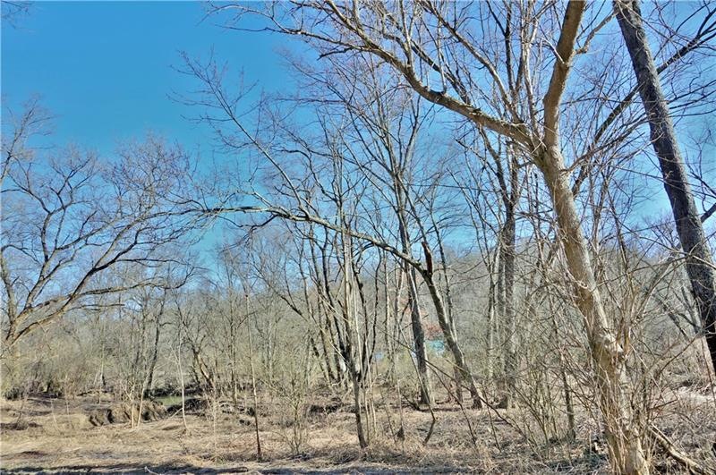 View of the creek from the property