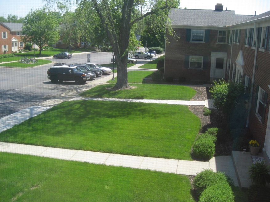1083 SELLS AVE.