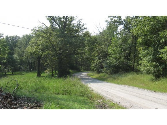 0 Green Cottage Dr, Williams Township, MO 65747 - photo 1