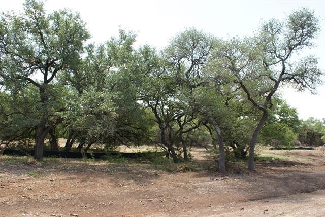 000 Calvary Cove Lot 23, Dripping Springs, TX 78620 - photo 1