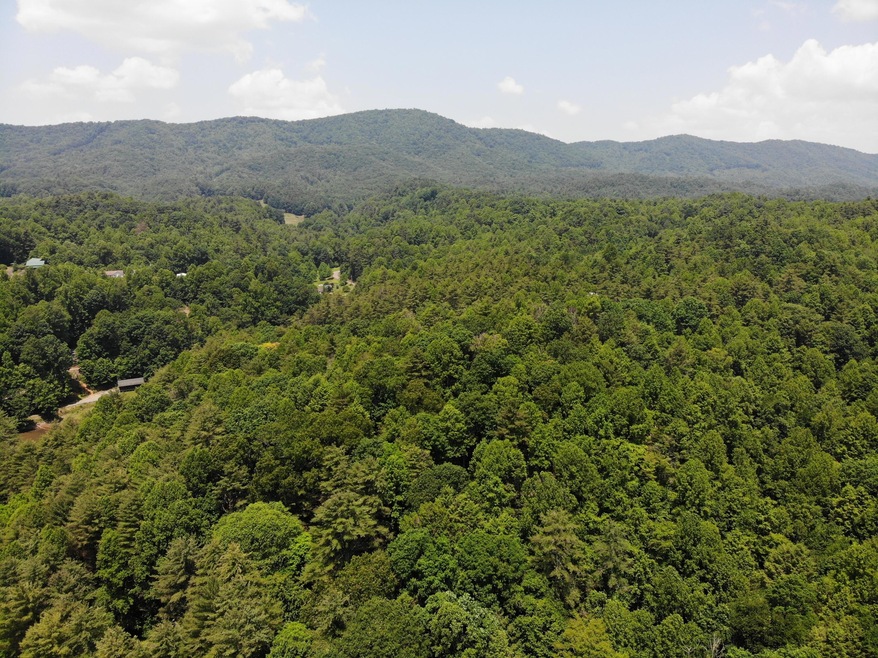 DJI_0946