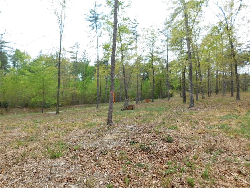 Lot 3 Old Chapman Bridge Rd, Salem, SC 29676 - photo 1