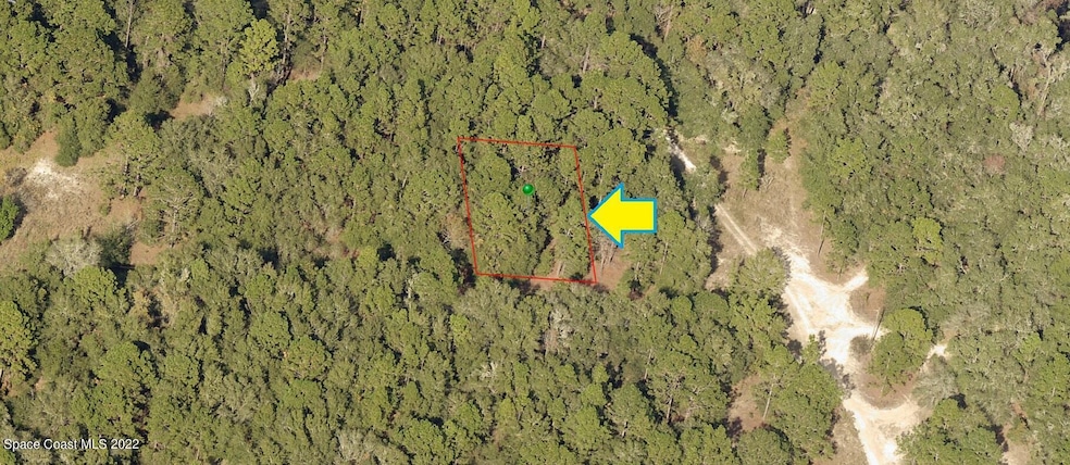 1902 Falkner St, Inverness, FL 34453 - photo 1