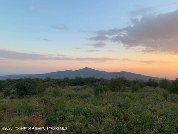 2699 Grackle Rd unit Lot 95, Craig, CO 81625 - photo 1