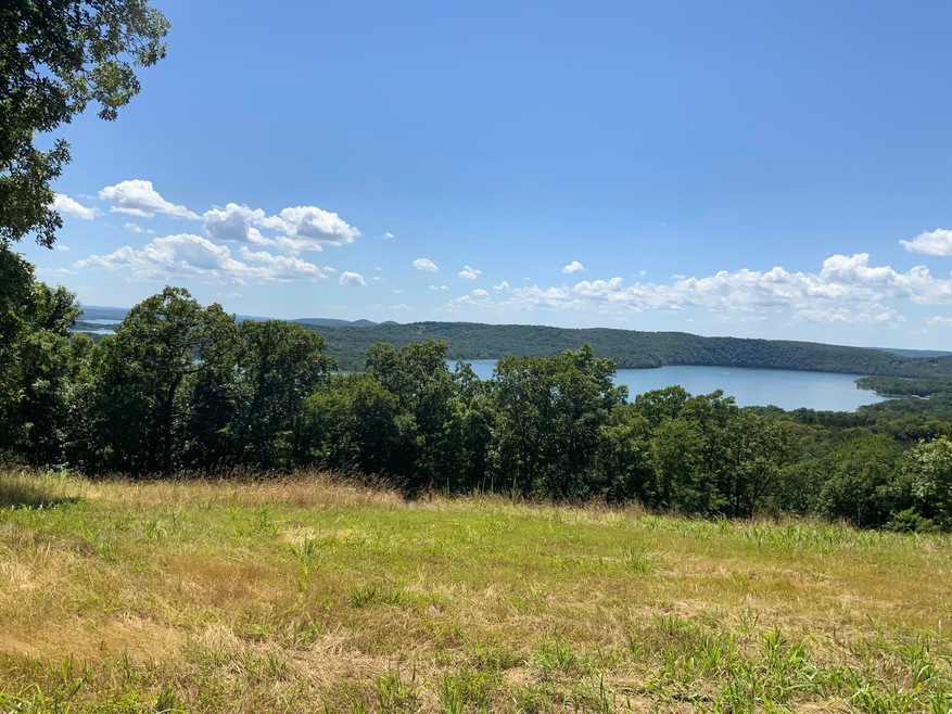 000 Breathless View Dr, Ruth B Rural Township, MO 65686 - photo 1