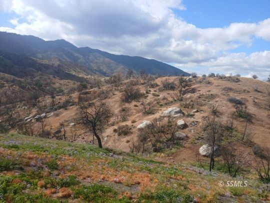 Nice Land