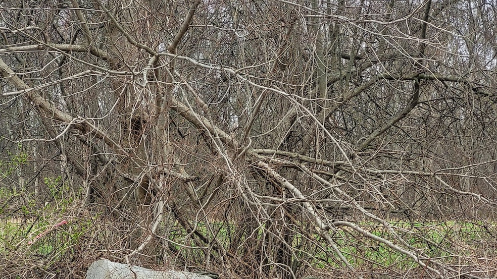 Under Contract $145,000 • Co-Listing Agent