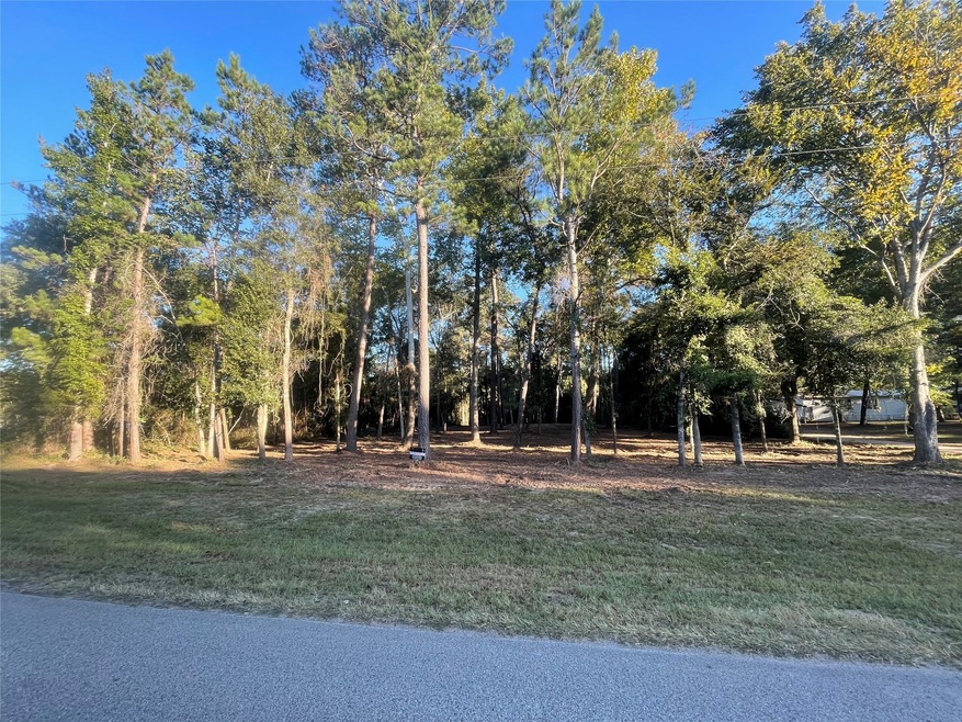 28024 Greenbriar Dr, Hockley, TX 77447 - photo 1