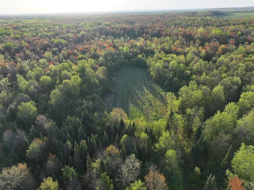 N2060 Meridian Rd, Prentice, WI 54556 - photo 1