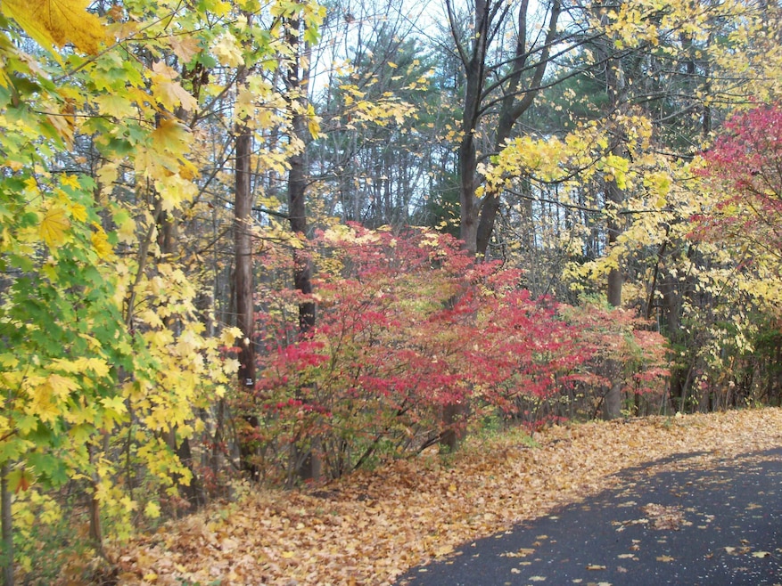 0 Sanborn St unit 8 5059863, Laconia, NH 03246 - photo 1