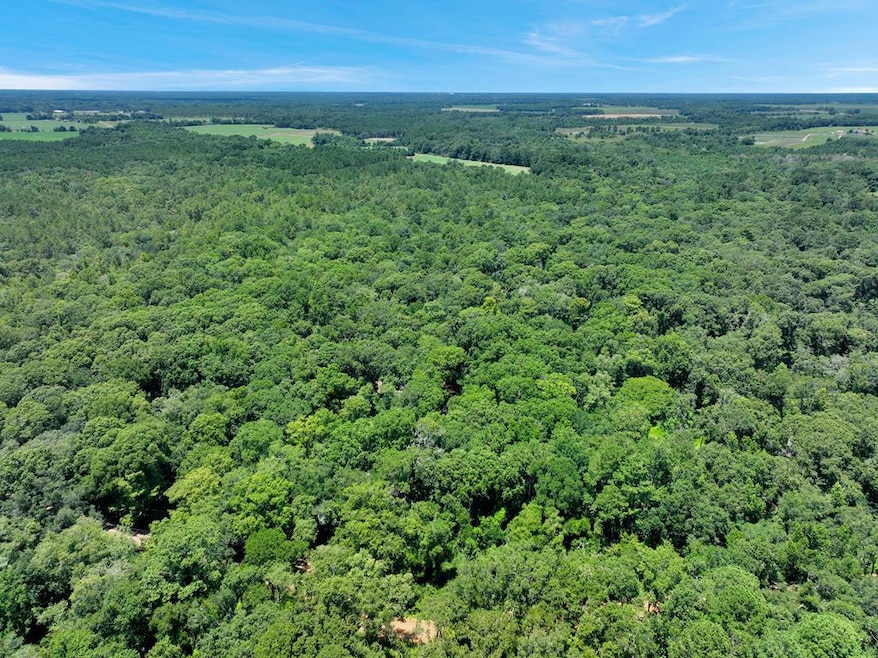 1056 Hempstead Church Rd, Pavo, GA 31778 - photo 1