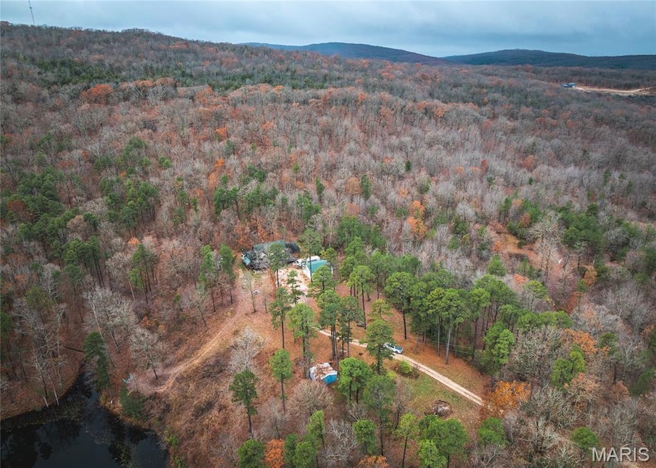 1950 Lake Forest Dr, Park Hills, MO 63601 - photo 1