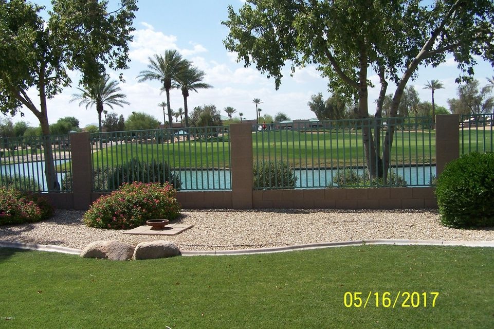 Backyard 1