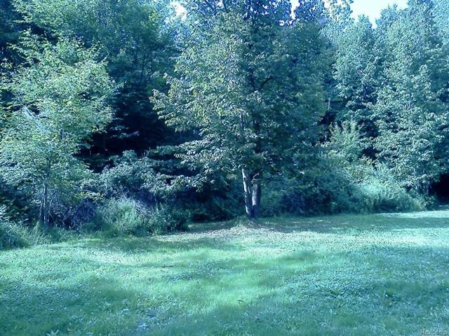 Access this area of the property from a two track 