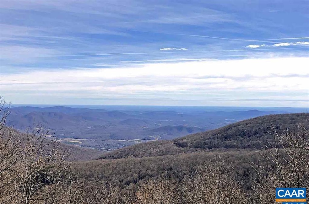 341 Chestnut Place, Roseland, VA 22967 - photo 1