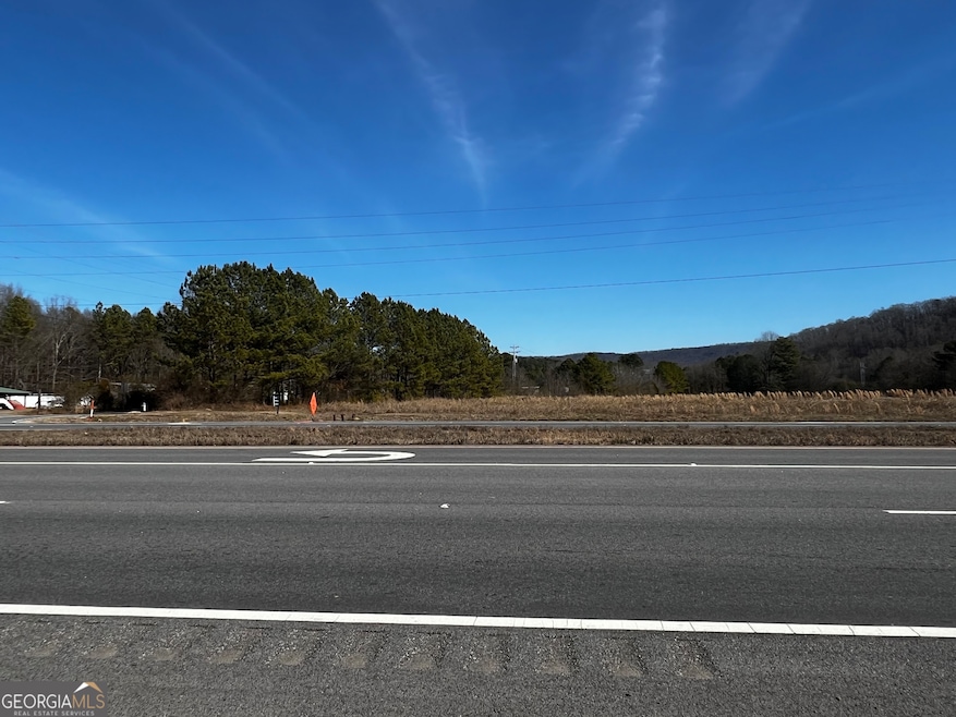 0 S Hwy 27 unit 10254661, La Fayette, GA 30753 - photo 1