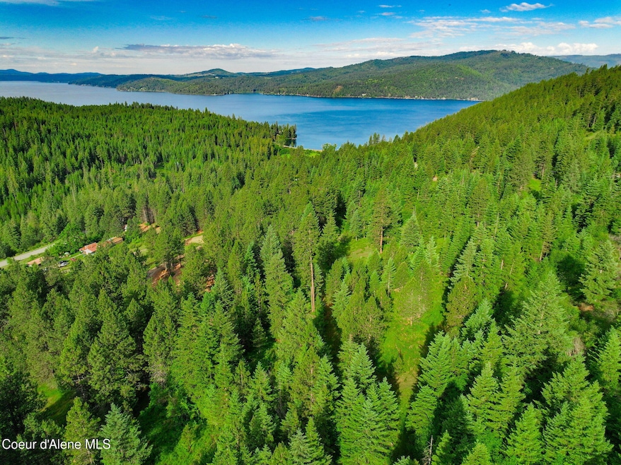5-web-or-mls-Aerial-Drone-21