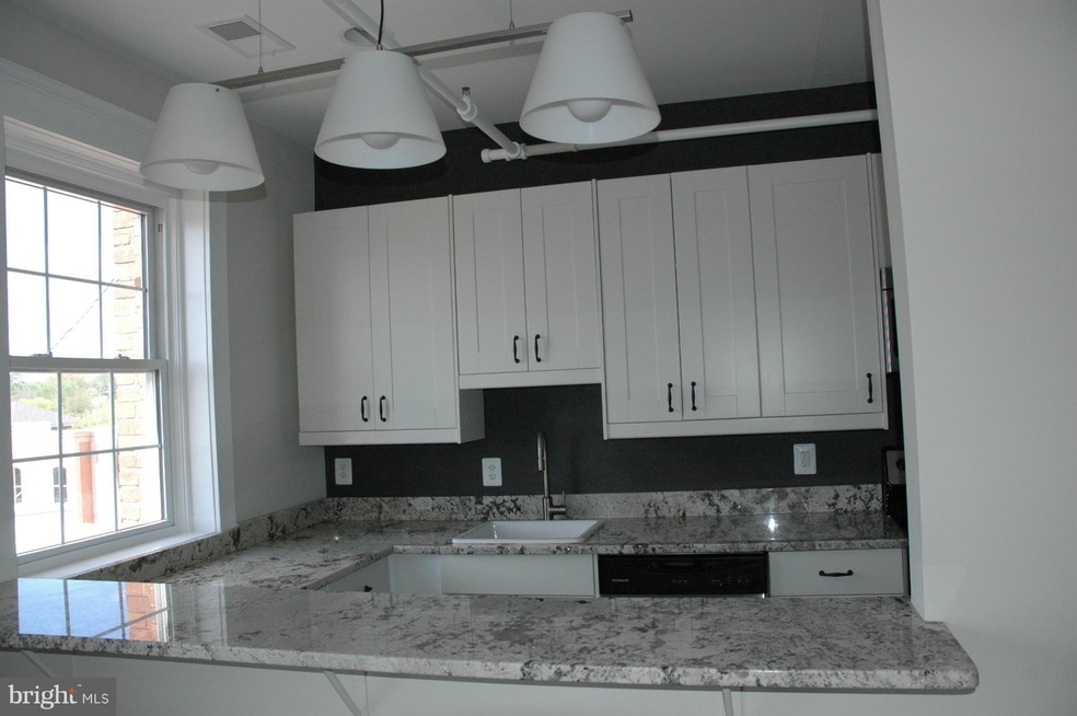 101 E Culpeper St unit 201,205, Culpeper, VA 22701 - photo 1