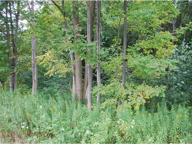 0 Irish Rd unit 28823, Venango Township, PA 16412 - photo 1