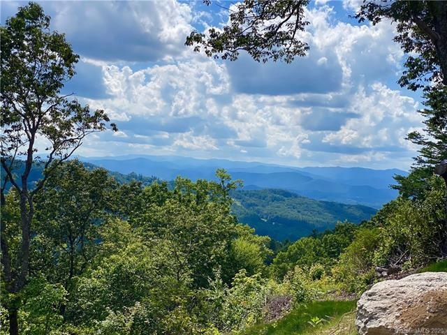 e4 Marble Ct unit Estates 4, Hendersonville, NC 28792 - photo 1