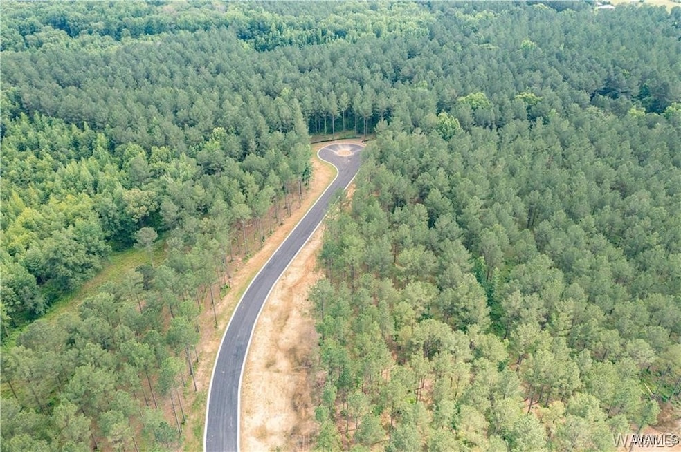 Lot 15 Stormi Way, Berry, AL 35546 - photo 1