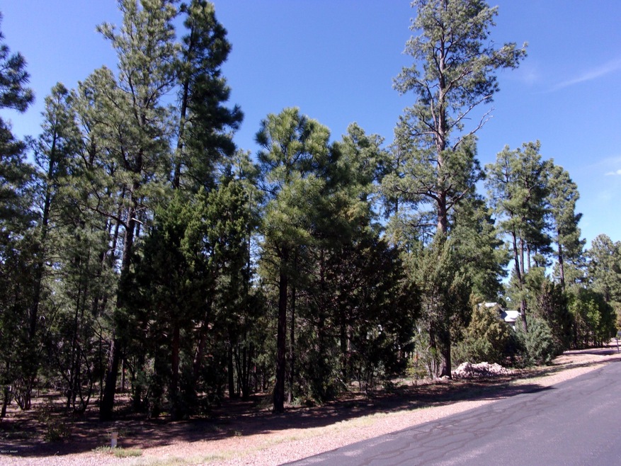Beautiful land 2160 Pine Grove Drive