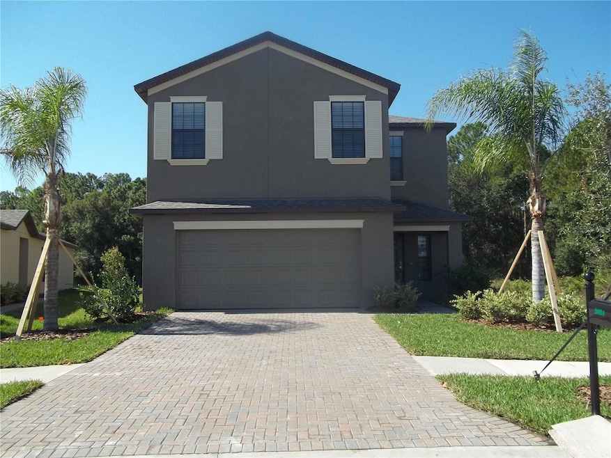 20014 Date Palm Way, Tampa, FL 33647 - photo 1