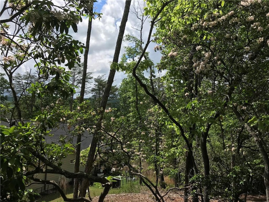 mountain views at back of lot