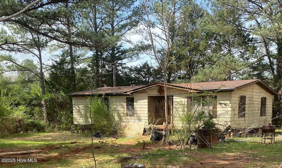 365 Hamlet Rd, Hollister, NC 27844 - photo 1