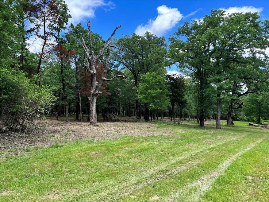 Towering and majestic woods cover the lot