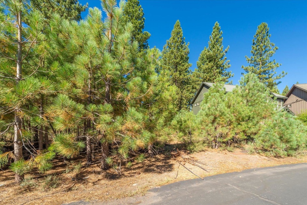 11300 Wolverine Cir, Truckee, CA 96161 - photo 1