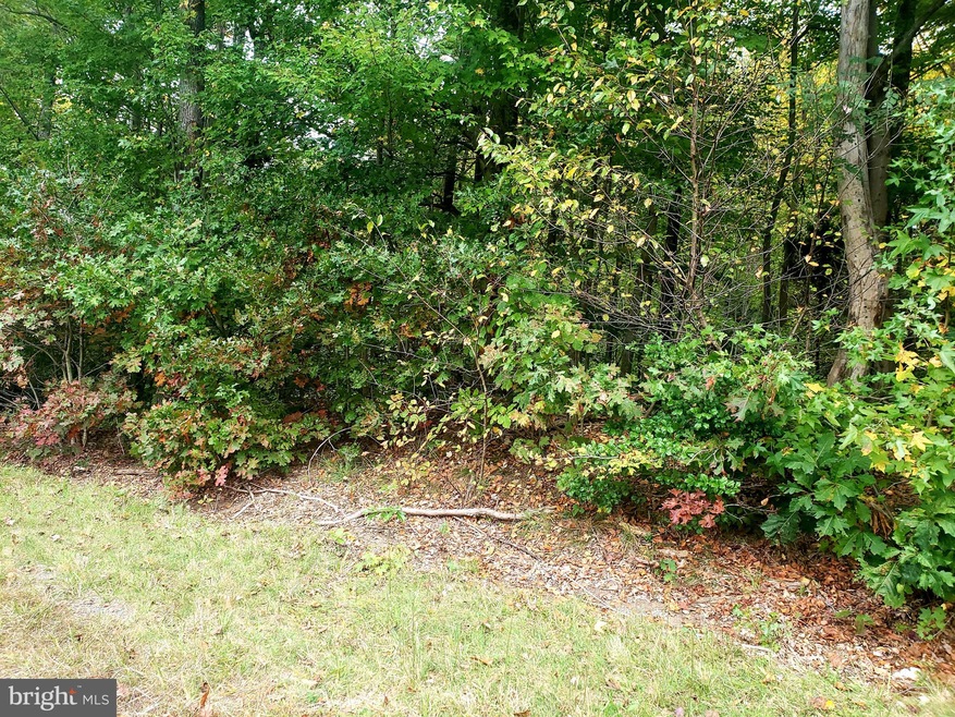 0 Light Horse Forest, Montross, VA 22520 - photo 1