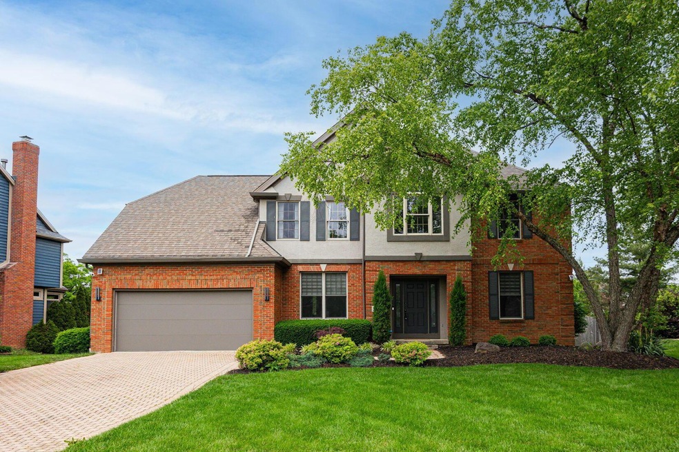 1-web-or-mls-Jake Bluvstein - 382 Beeche