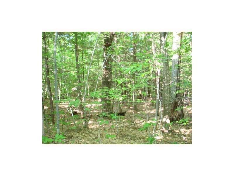 Wooded lot