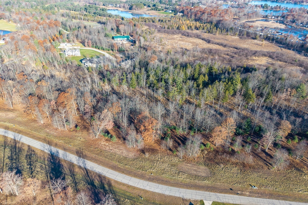 11482 Killarney Dr, Canadian Lakes, MI 49346 - photo 1