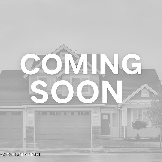 coming soon 2025