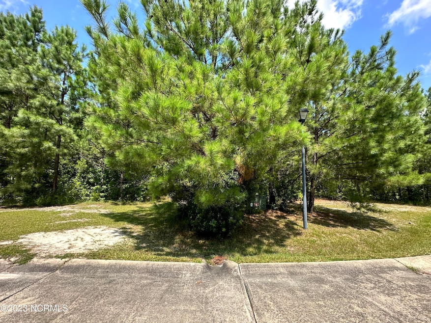 Lot 6