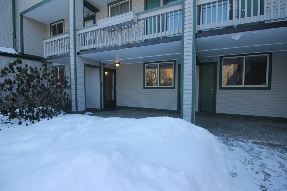 22 Emerson Way unit B1, Waterville Valley, NH 03215 - photo 1