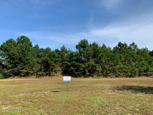 Lot 12