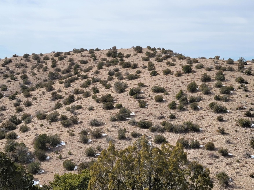 00 Camino Halcon Rd, Placitas, NM 87043 - photo 1