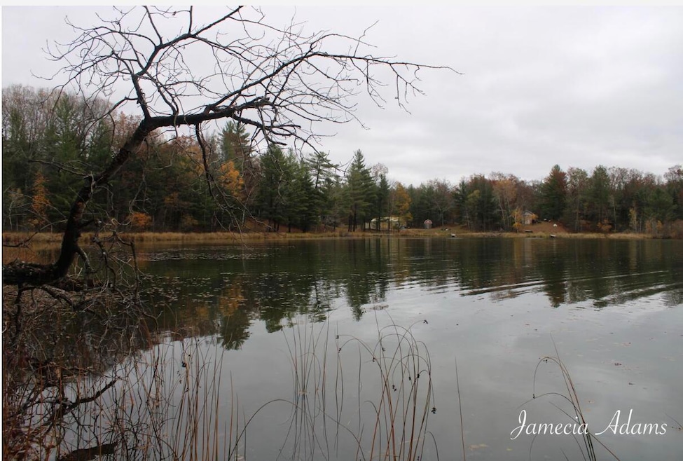 Idlewild Lake Front