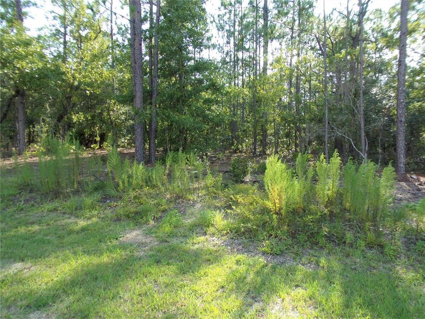 Great Lot in Rolling Hills