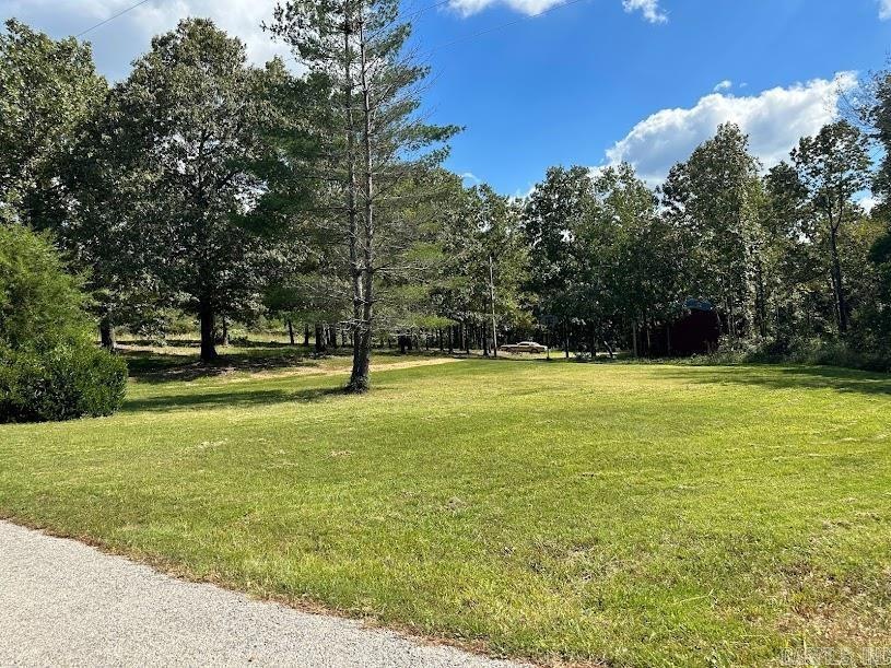 71 Dusty Trail, Highland, AR 72542 MLS 23030477