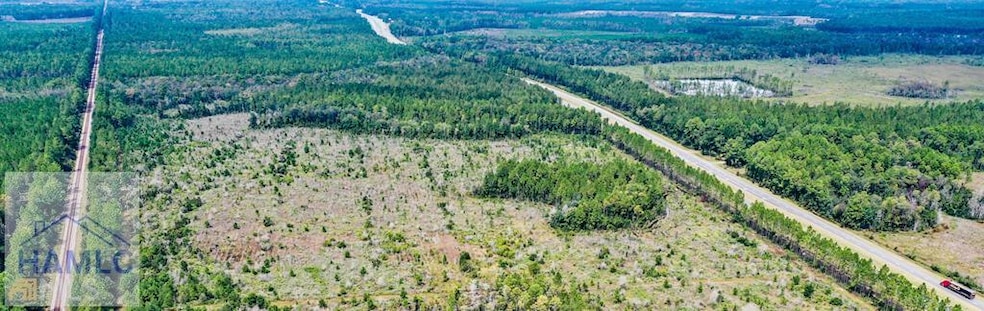 0 Memorial Dr unit 163971, Waycross, GA 31501 - photo 1